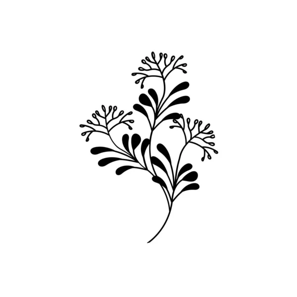 Dibujo Línea Flores Vector Ilustración Minimalista Dibujado Mano — Archivo Imágenes Vectoriales