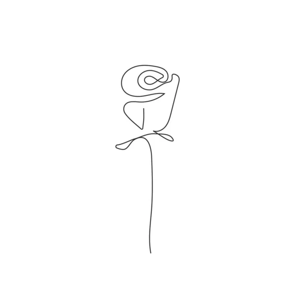 Dibujo Línea Flores Vector Ilustración Minimalista Dibujado Mano — Vector de stock