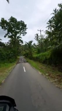 Scooter tire ve dar tropikal yol palmiye ağaçları tarafından çevrili ve bulutlu gökyüzü altında yoğun yeşillik, ara sıra asfalt şeridi boyunca çukurlar ve elektrik direkleri, POV görünümü hız göstermektedir