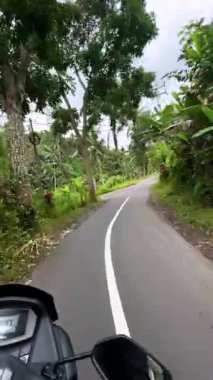 Bereketli tropik bitki örtüsü ve palmiye ağaçları arasında dar bir viraj yolunda scooter. Manzaralı kırsal yol, macera yolculuğu, bulutlu bir gün..
