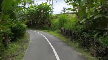 scooter dash and narrow tropical road flanked by palm trees and dense greenery under overcast sky, occasional potholes and utility poles alongside asphalt lane, POV view showing speedometer