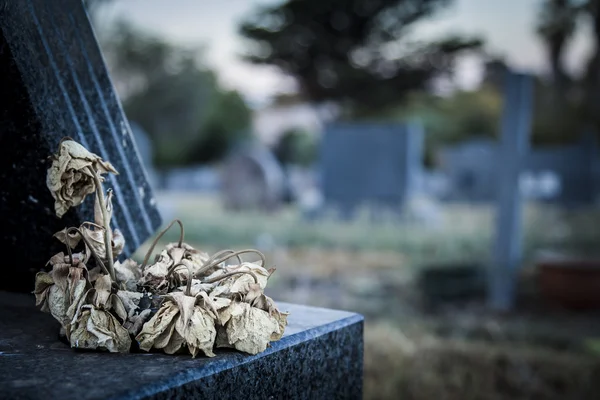 Flower on the Grave — Stock Photo, Image
