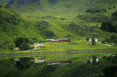 Çiftlik Norveç dağlarında