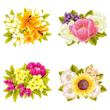 Çiçek buketleri seti