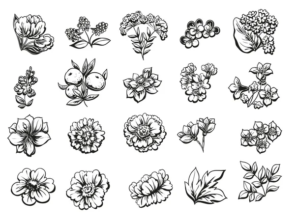 Set de bouquets de fleurs — Image vectorielle