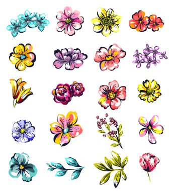 Güzel çiçek kümesi