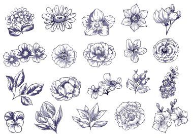 Güzel çiçek kümesi