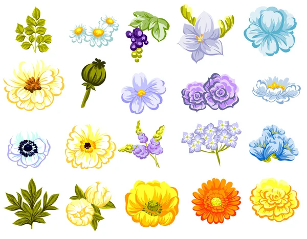 Hermoso conjunto de flores — Vector de stock