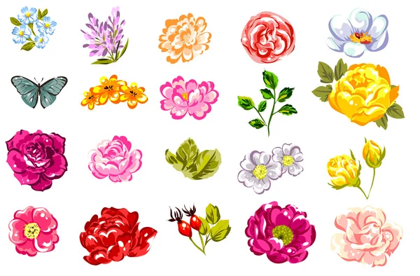 Beau ornement de fleurs — Image vectorielle
