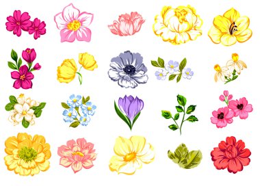 çiçek süsleme çiçeklenme