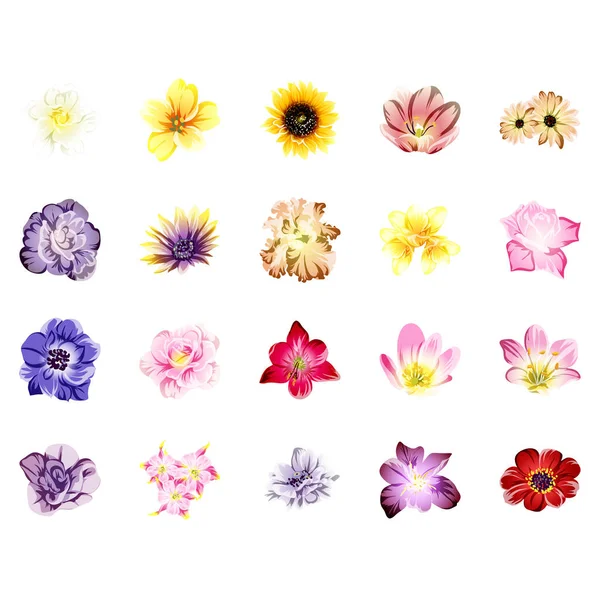 Fleurs Style Vintage Coloré Motif Sans Couture — Image vectorielle