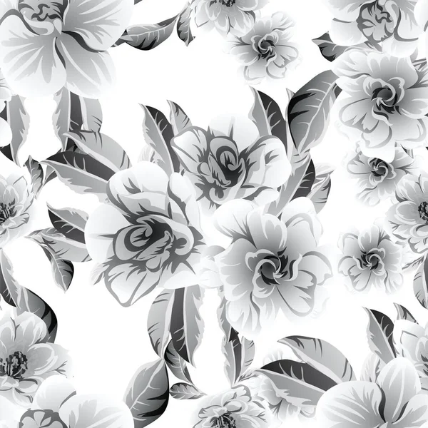 beautiful lush gray flowers on white background