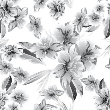 Beyaz arka planda güzel gür gri çiçekler 