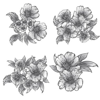 Dört çiçek dekoratif elementi seti