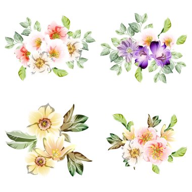 Dört çiçek dekoratif elementi seti