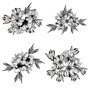 Dört çiçek dekoratif elementi seti