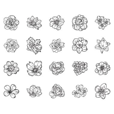 Dört çiçek dekoratif elementi seti