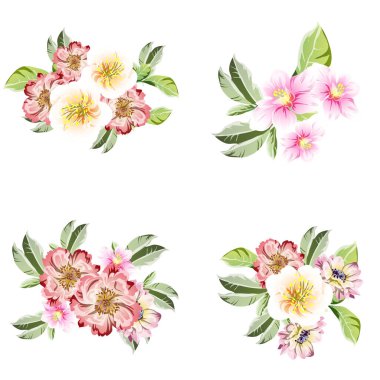 Dört çiçek dekoratif elementi seti