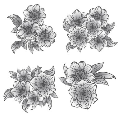 Dört çiçek dekoratif elementi seti