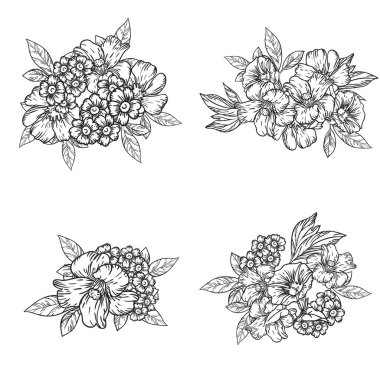 Dört çiçek dekoratif elementi seti