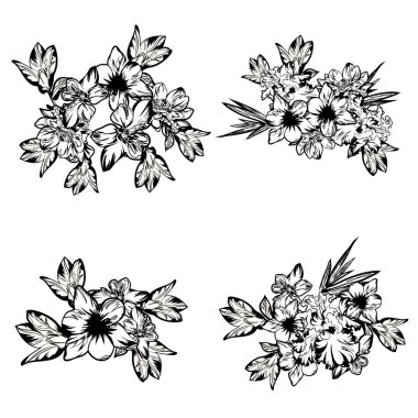 Dört çiçek dekoratif elementi seti