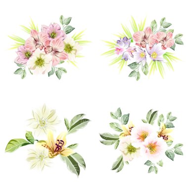 Dört çiçek dekoratif elementi seti