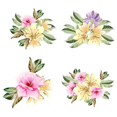 Renkli çiçekli vektör deseni. Tekstil ve albüm tasarımı