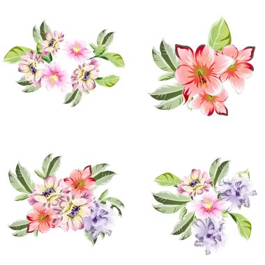 Renkli çiçekli vektör deseni. Tekstil ve albüm tasarımı