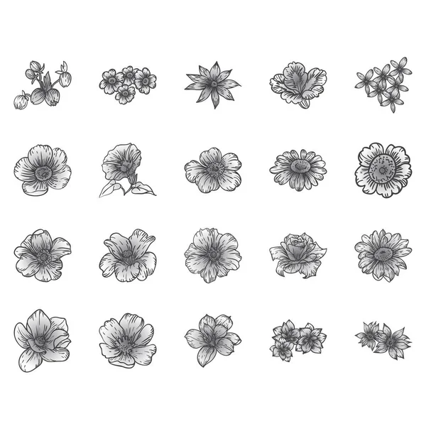 Blommor Inställda Insamling Blommiga Element Vektorillustration — Stock vektor
