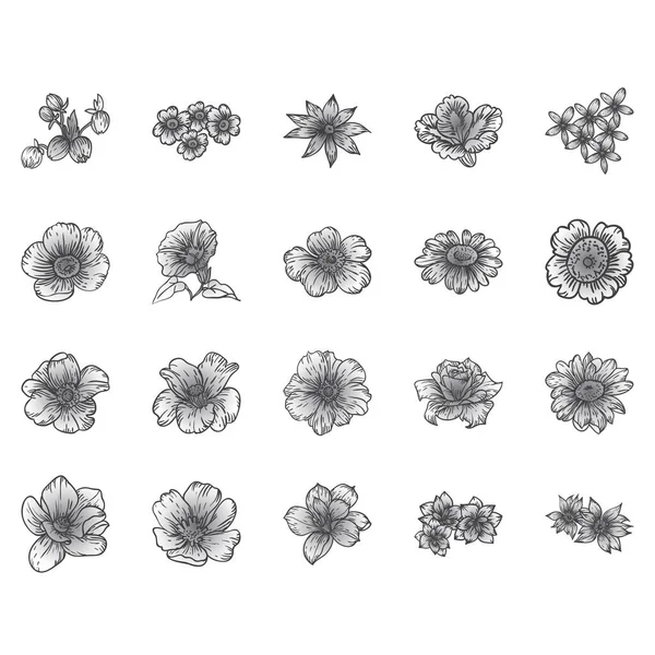 Ensemble Fleurs Collection Éléments Floraux Illustration Vectorielle — Image vectorielle