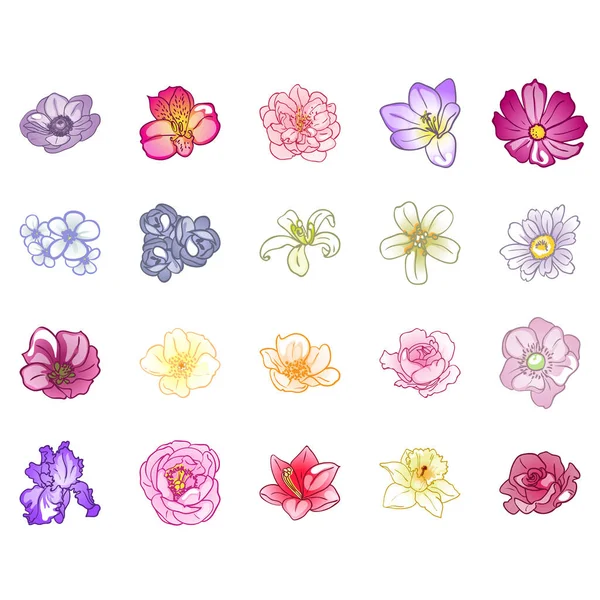 白い背景に隔離された様々な花のステッカーのセット — ストックベクタ