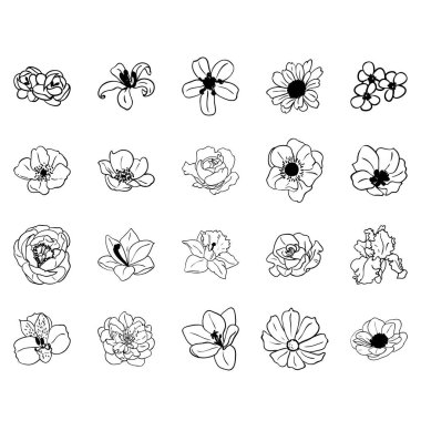 güzel botanik tek renkli çiçekler seti, vektör çizimleri