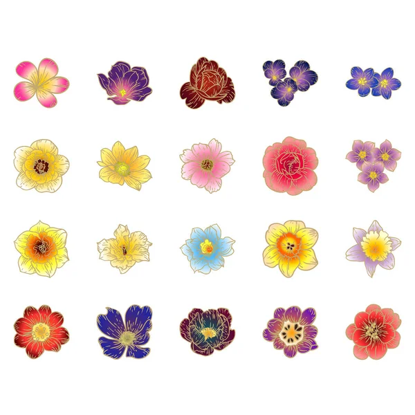 Collection Colorful Pattern Flowers — Stock Vector