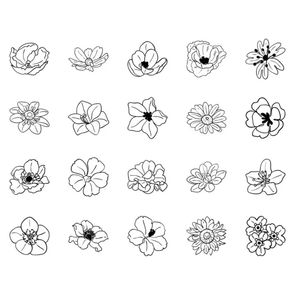 Elegancia Patrón Sin Costuras Con Elementos Florales — Archivo Imágenes Vectoriales