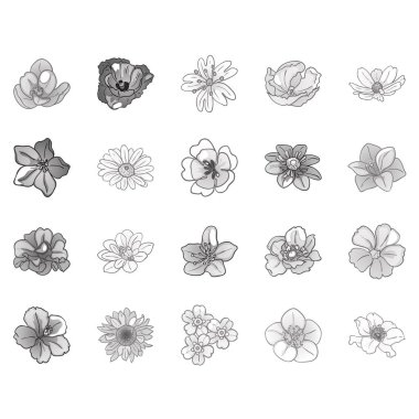 Çiçek etiketleri, vektör illüstrasyonu