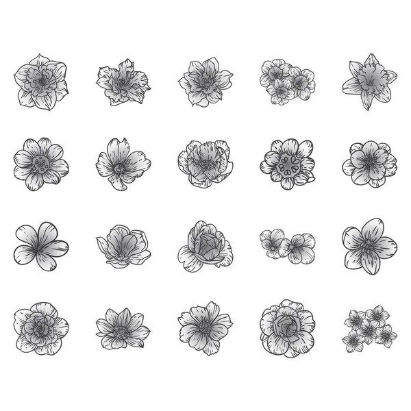 Набір Квіткових Наклейок Векторні Ілюстрації — стоковий вектор