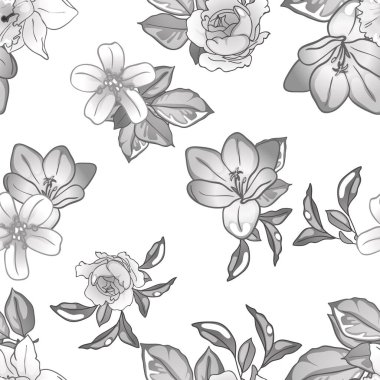 güzel çiçekler, arkaplan, vektör çizimi