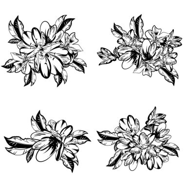 güzel çiçek öğeleri ile Seamless Modeli