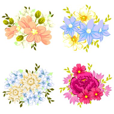 Bir dizi farklı çiçek.