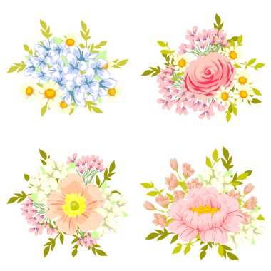 Bir dizi farklı çiçek.