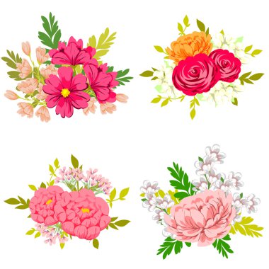 Bir dizi farklı çiçek.