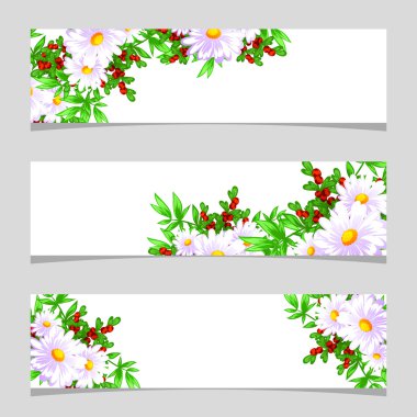 Metin için yeri olan çiçek çerçevesi