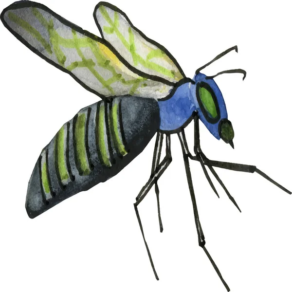 Wespe Insekt Aquarell Auf Weißem Hintergrund — Stockvektor
