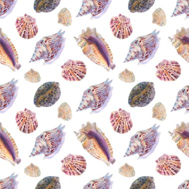 El yapımı suluboya deniz kabukları, el yapımı suluboya deniz kabukları, pürüzsüz bir desen, deniz kabuğu çıkıntısı. Fabrika, kağıt baskı, hediye kağıdı, duvar kağıdı için. Sabun ambalajı, sabun kutusu, kozmetik ambalajlama