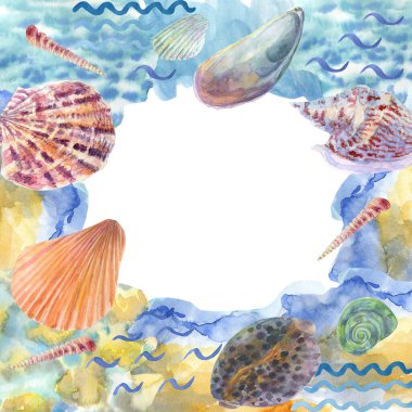 Deniz yaşamına tırman, çerçeveli deniz kabuğu, suluboya çerçeveli deniz kabuğu. Tebrik kartı, kart, erkekler için, çocuklar için. Fabrika suluboya kartpostal için