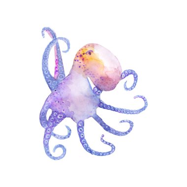 Ahtapot pembe deniz boyası. Menekşe suluboya ahtapot şirin çiğ. Hayvan suluboya siluet çizimi. El çizimi çizimi. Kumaş, tişört, kartpostal, kart, kitap, poster, defter