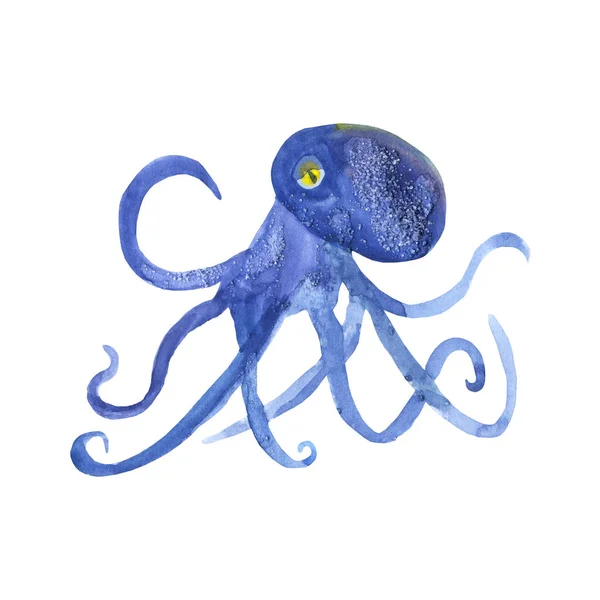 Octopus Bonito Aquarela Fundo Branco Esboço Silhueta Polvo Azul Desenho — Fotografia de Stock