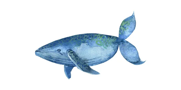 Baleia Azul Fundo Branco Aquarela Ilustração Original Desenhada Mão Para — Fotografia de Stock