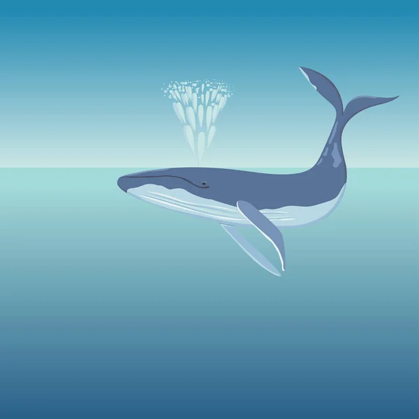 Uma Baleia Azul Encontra Superfície Oceano Começa Jato Fonte Ilustração —  Vetores de Stock