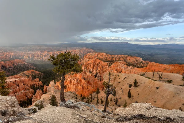 Tormenta de nieve al atardecer, Parque Nacional Bryce Canyon, EE.UU. —  Fotos de Stock